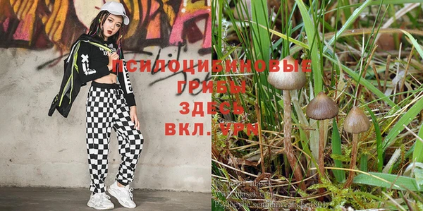 марки lsd Аркадак